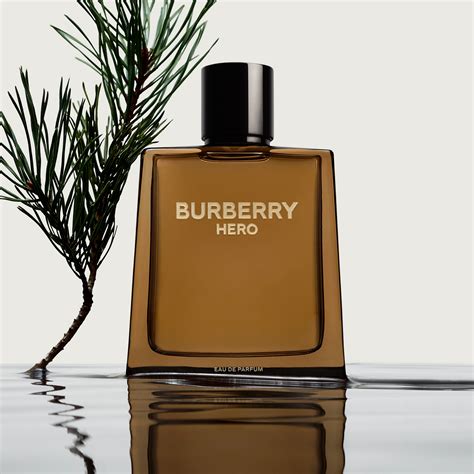 burberry perfume for man|burberry for men fragrantica.